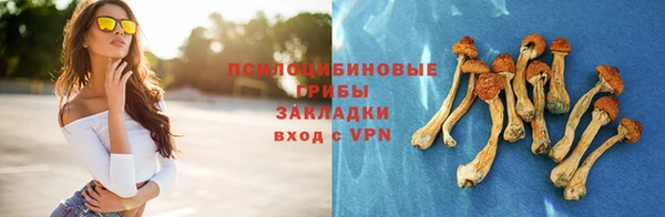 стаф Магадан