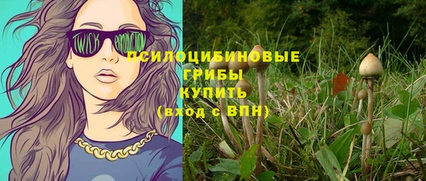 стаф Магадан