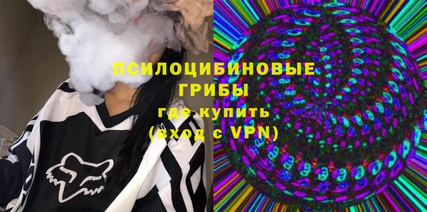 стаф Магадан