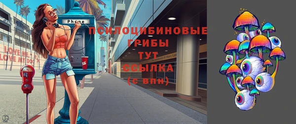 МДМА Медвежьегорск