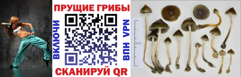 гидра ONION  Ершов  Галлюциногенные грибы MAGIC MUSHROOMS 